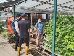 Kunjungi BBPP Lembang, IKA Polban Survey Pengembangan Smart Farming 4.0 untuk Tanaman Hidroponik
