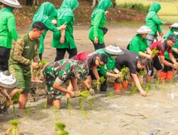 Tanam Padi Pakai BIOS 44, Dandim 0619/Purwakarta: Ini Upaya Antisipasi Krisis Pangan 2023