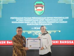 Bupati Purwakarta Anne Ratna Muatika Meraih Banyak Prestasi
