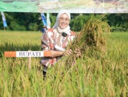 Purwakarta Sudah Produksi Jutaan Ton Padi Dalam Lima Tahun