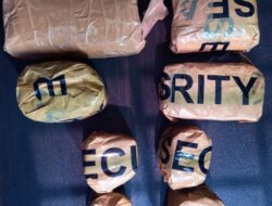 Jual Ganja Kering Ditempel di Pohon, DN Ditangkap Polres Subang