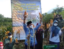 Siap Digelar di Soreang, Bupati Bandung Ajak Masyarakat Ramaikan Gebyar Perbenihan Tanaman Pangan Nasional IX
