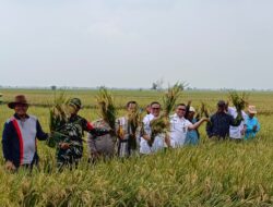 Persiapan Panen Raya dengan Mikroba PA 63 Garuda, Jenderal Dudung Kirim Staf Ahli ke Pakisjaya Karawang