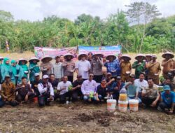 Sukses Tanam Padi dengan Mikroba PA 63 Garuda, Kakang Prabu Kini Beri Benih Jagung Gratis untuk Petani di Pakisjaya