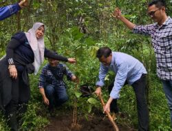 Panen Raya Kopi di Wilayah Konservasi Situ Cimeuhmal, Perum Jasa Tirta II Jaga Ekosistem DAS Citarum