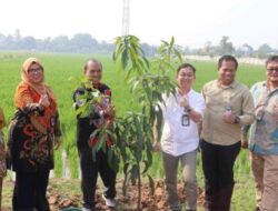 BBPOPT Tegaskan Komitmen Jaga Produksi Pangan Nasional dalam Rakor Strategis di Karawang