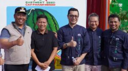 Lampung Kian Mengukuhkan Diri sebagai Sentra Semangka Nasional, Salah Satunya Berkat AMARA F1 dari Ewindo