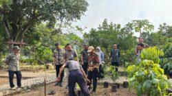 Aksi Tanam Pohon Jadi Agenda Employee Volunteering BPJS Ketenagakerjaan Purwakarta