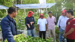 Kebun Harmoni Tumbuhkan Harapan Baru di Huntara Aceh Tamiang