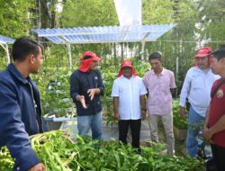 Kebun Harmoni Tumbuhkan Harapan Baru di Huntara Aceh Tamiang
