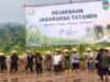 Kajari Purwakarta dan Bupati Kompak Turun ke Sawah, Jagaraksa Tatanen Wujud Hadirnya Kejari di Tengah Masyarakat